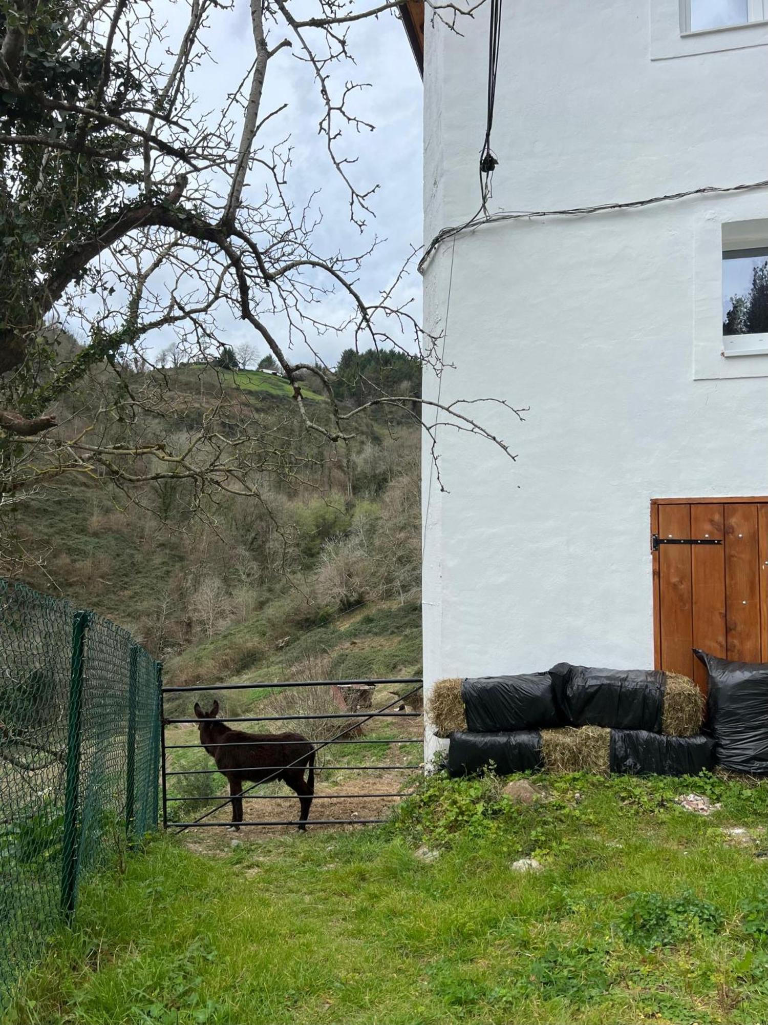 Appartamento Fantastico Retiro Rural En El Corazon De Euskadi Elgoibar Esterno foto